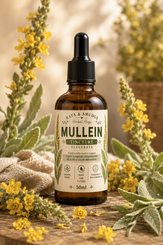 Mullein Glycerate | Family-Friendly Lung Support
 🍃